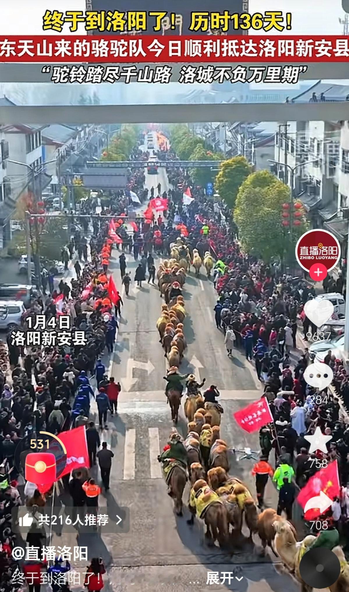 1月4日，我国新疆东天山骆驼队，历时136天，历经3000余公里，顺利抵达洛阳新