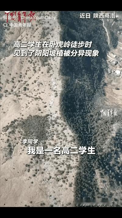 陕西，一名高二男生在卧虎岭徒步时，发现一座东西走向的山脉有着明显的植被分异现象，