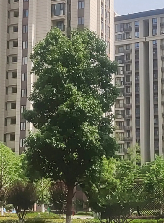 近崩溃的一位民办教师。我们这里有一位民办教师，是57年出生的。第1次民转公考试考
