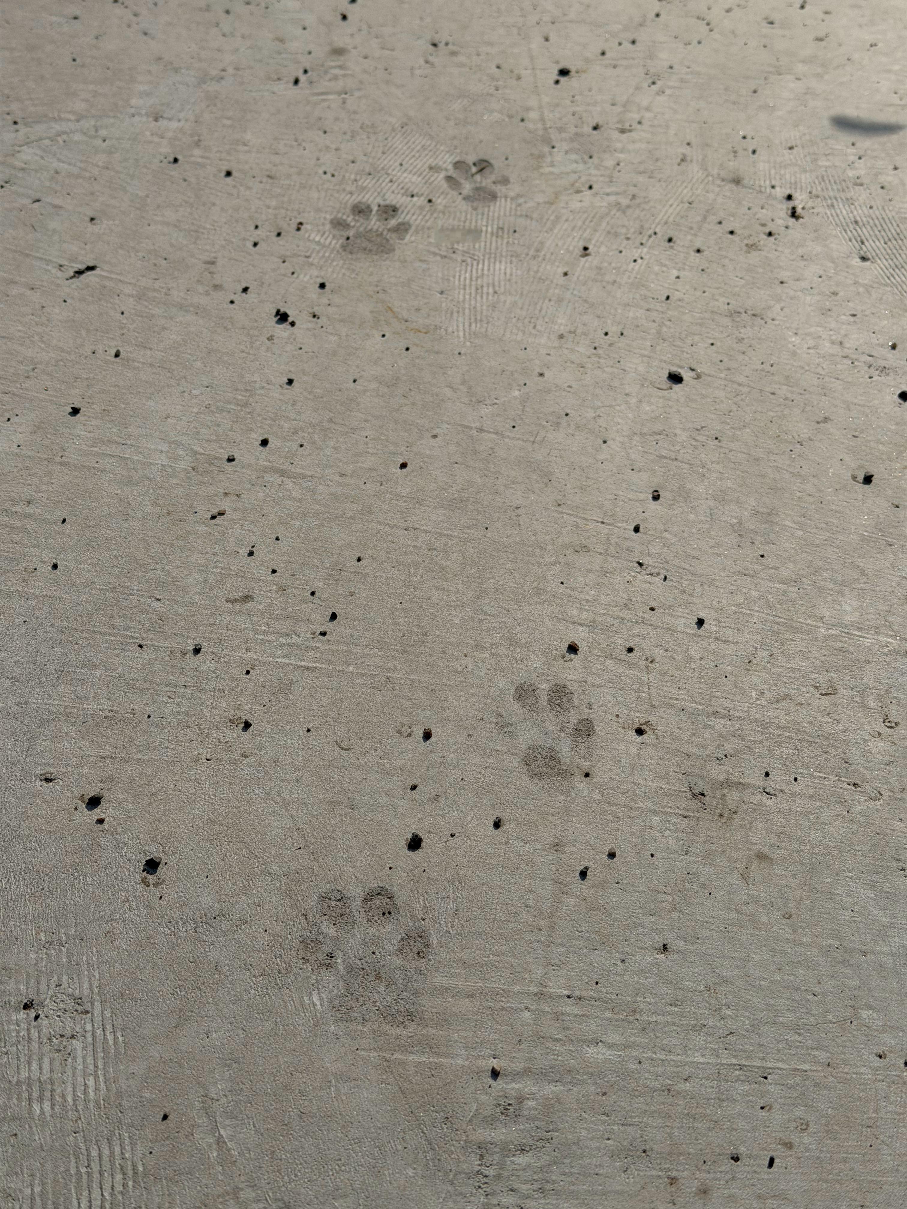 好可爱的🐾​​​