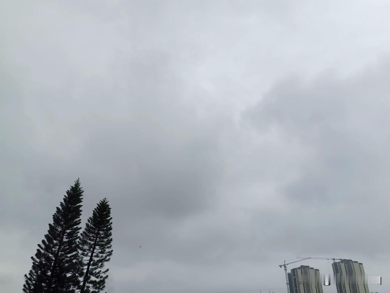 升温通道已开启！广东未来几天晴雨相伴，气温上升！未来三天（7～9日），广东天