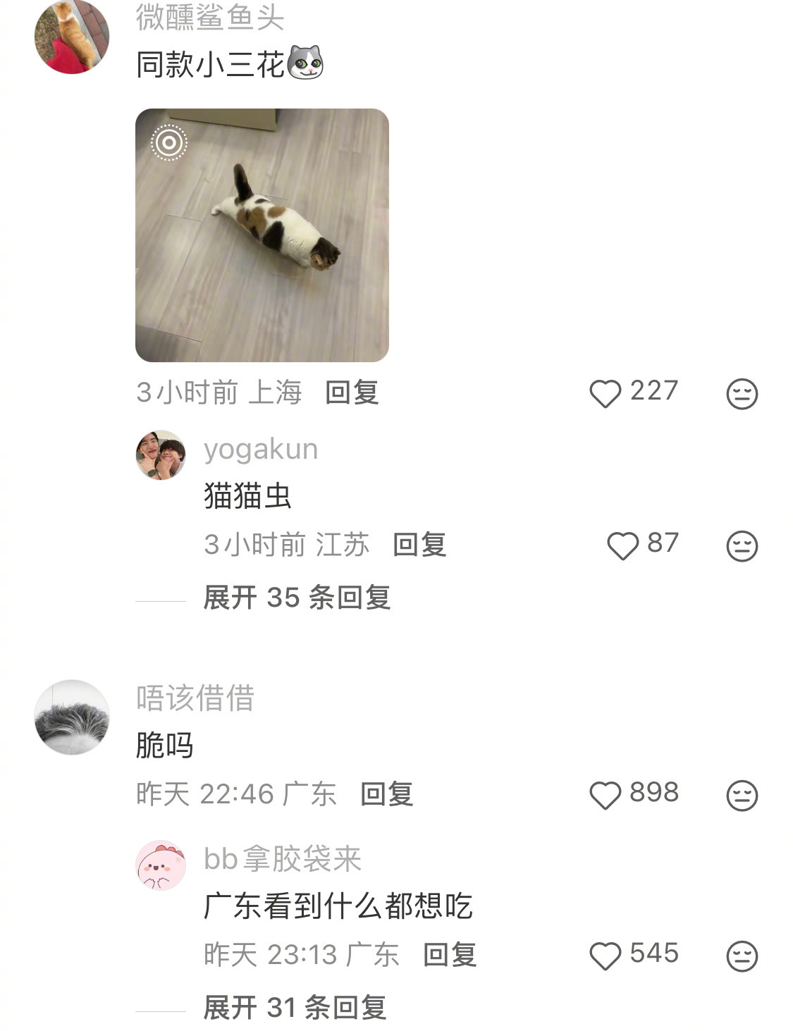 烤糊了的双面焦猫咪