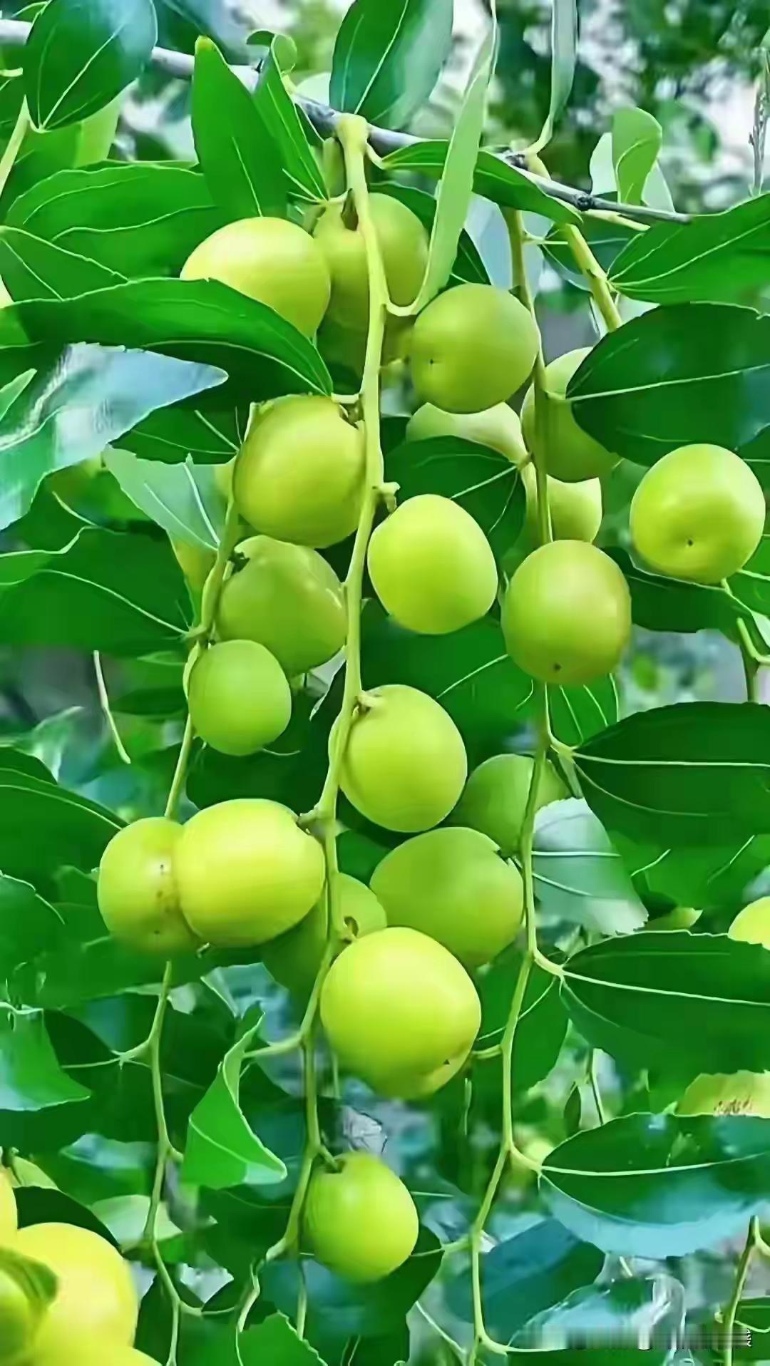 七月(散文随笔)蝉鸣的声浪淹没了七月燥热的午后。带着炽热，带着奔放，也带着