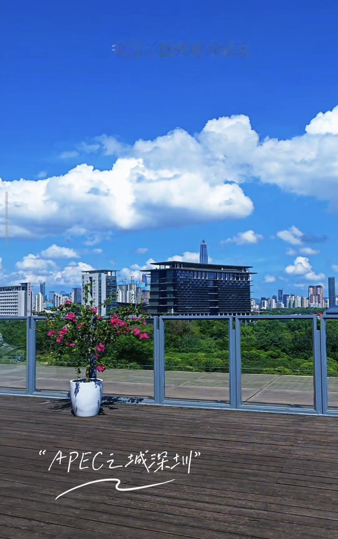 今天分享深圳APEC主会场深圳国际交流中心西边的城市景观，深圳高颜值的城市公园香