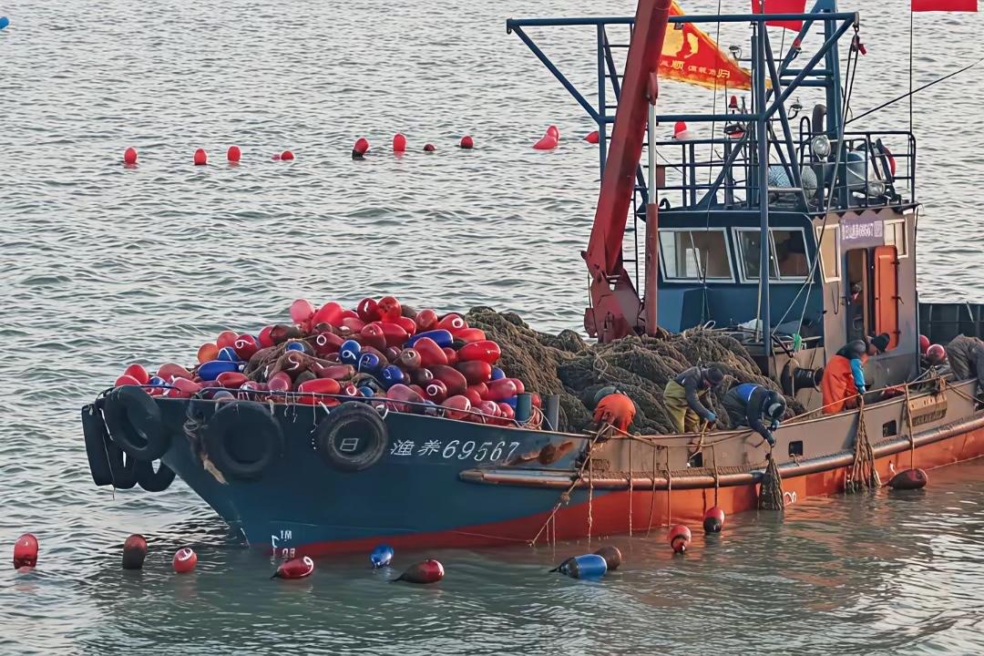 清算开始了！日本在东海悍然扣押中国渔船，彻底踩碎了中方的忍耐底线！这根本不是什么