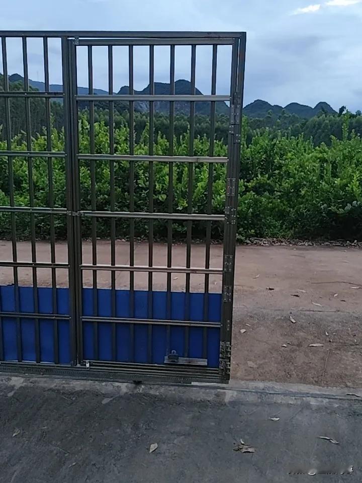 想看看你家种的水果我们的水果就在家门口，顺手可摘，想知道这是什么水果吗？