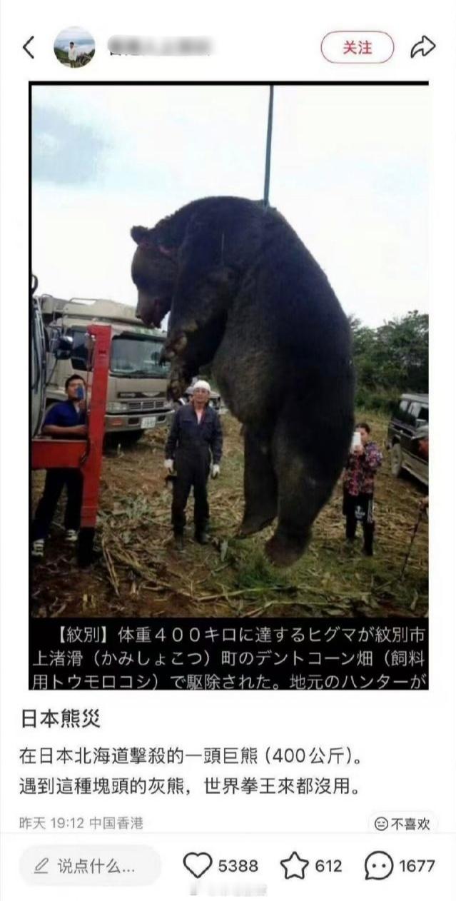 日本打死的熊有点大啊，前面忘了后面忘了，总之大概率是日本生态出问题了。日本熊灾