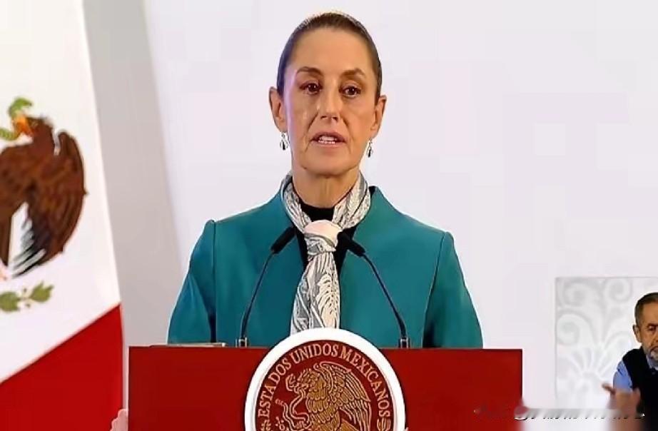 墨西哥对两千多种东大的货物加征50%关税，白宫贸易顾问称之为“里程碑”。