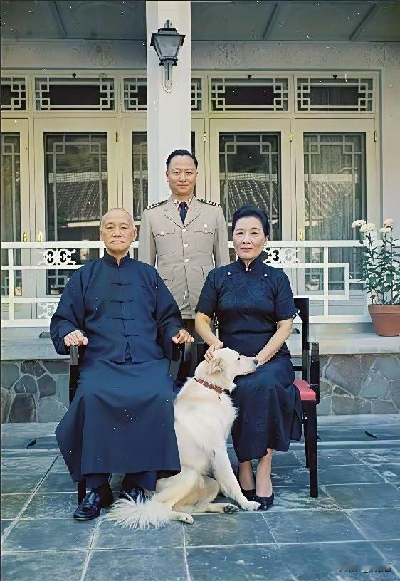 老蒋为什么如此热爱养狗呢？