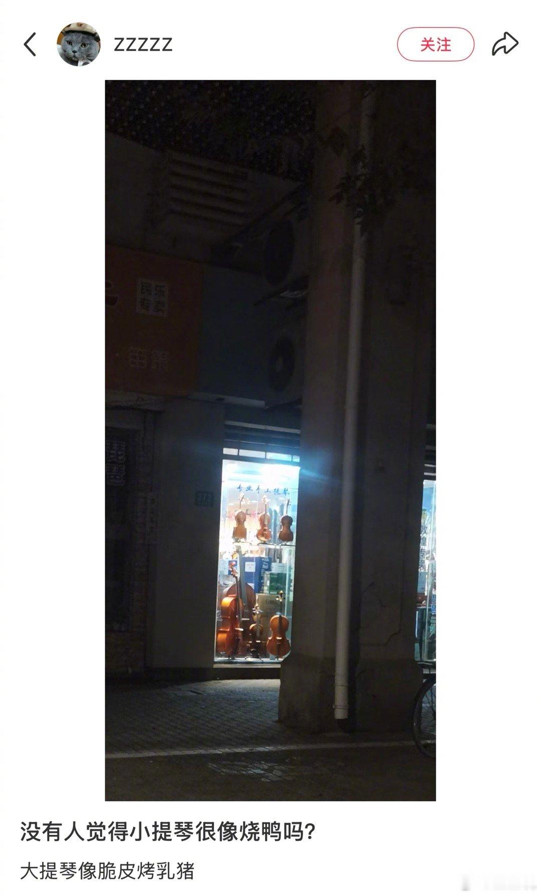 小提琴真的很像烤鸭假日先疯派春日放个疯​​​