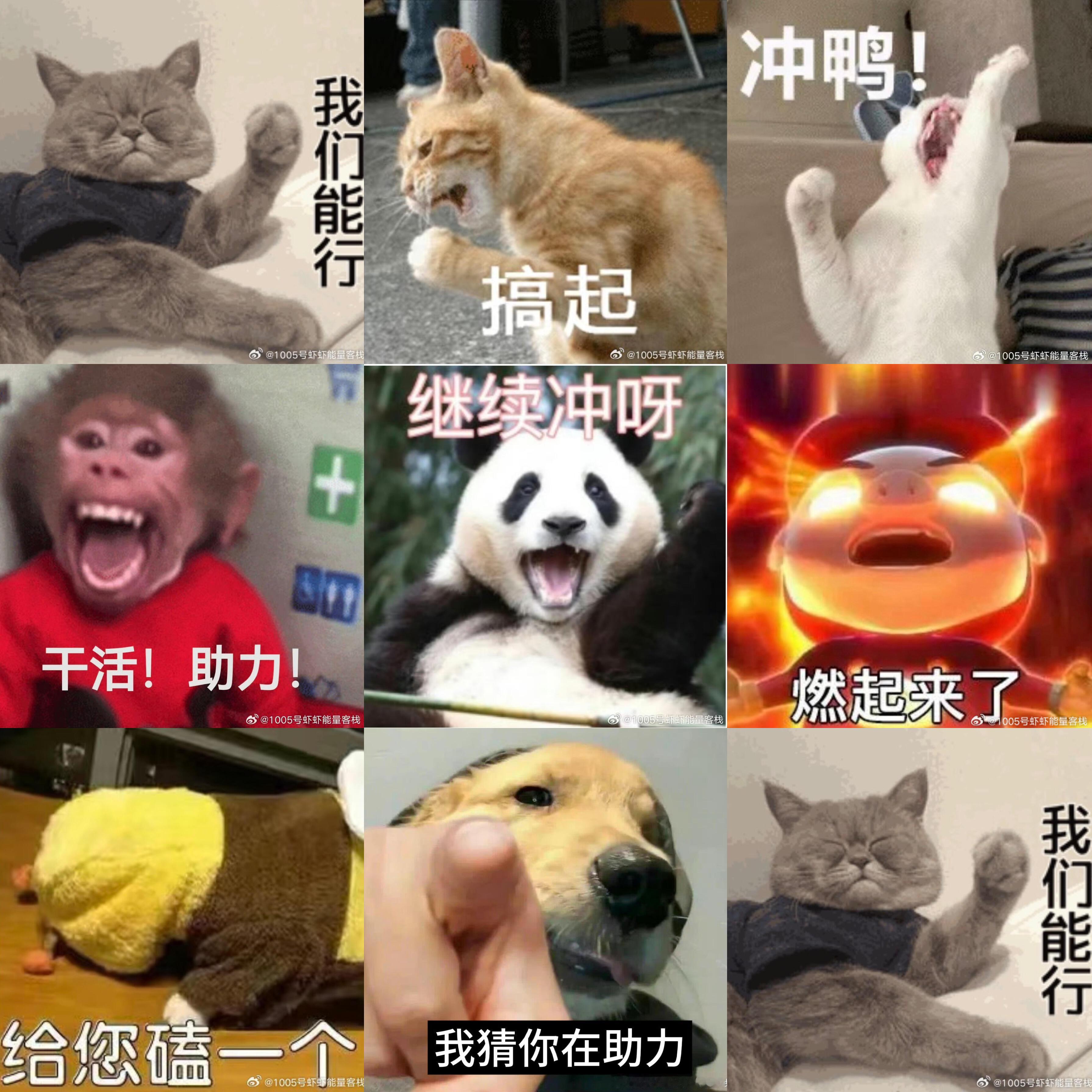 肖战粉丝最近一头扑进微博之夜战队，营销号角度活人粉的体感真的好明显，之前发红稿，