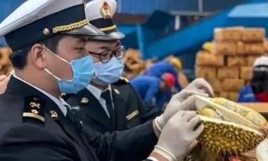 赚中国人钱，还把风险一并打包送上餐桌？谁都没想到，泰国榴莲这件事会越扒越心惊，表