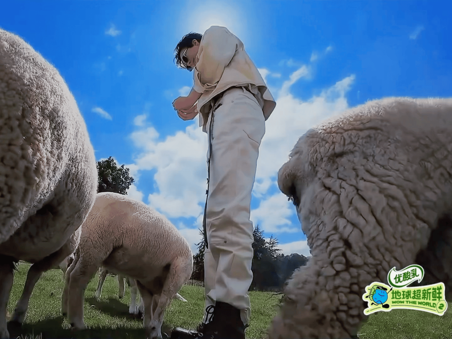刘宇宁开始推理吧|刘宇宁地球超新鲜|摩登兄弟刘宇宁才华出众魅力无限