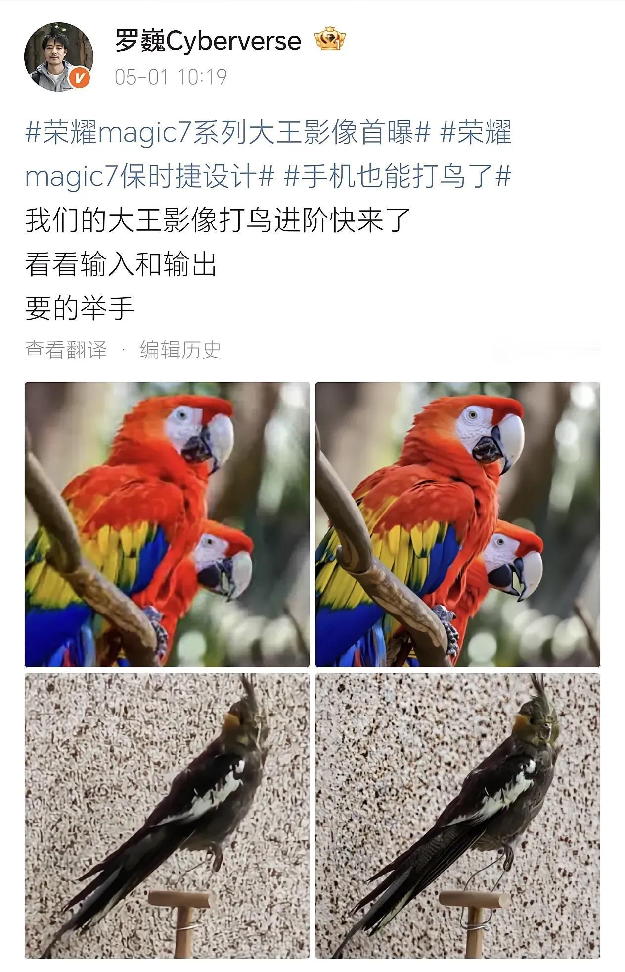 近日荣耀首席影像家罗巍晒出荣耀magic7RSR的大王影像的打鸟进阶版，出成像