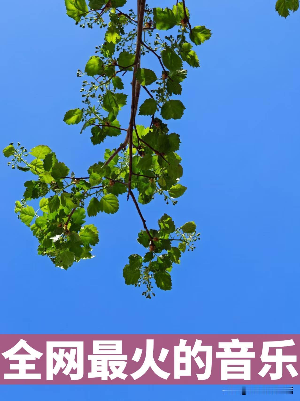 来个九宫格美丽的天空，像壁纸一样的效果。