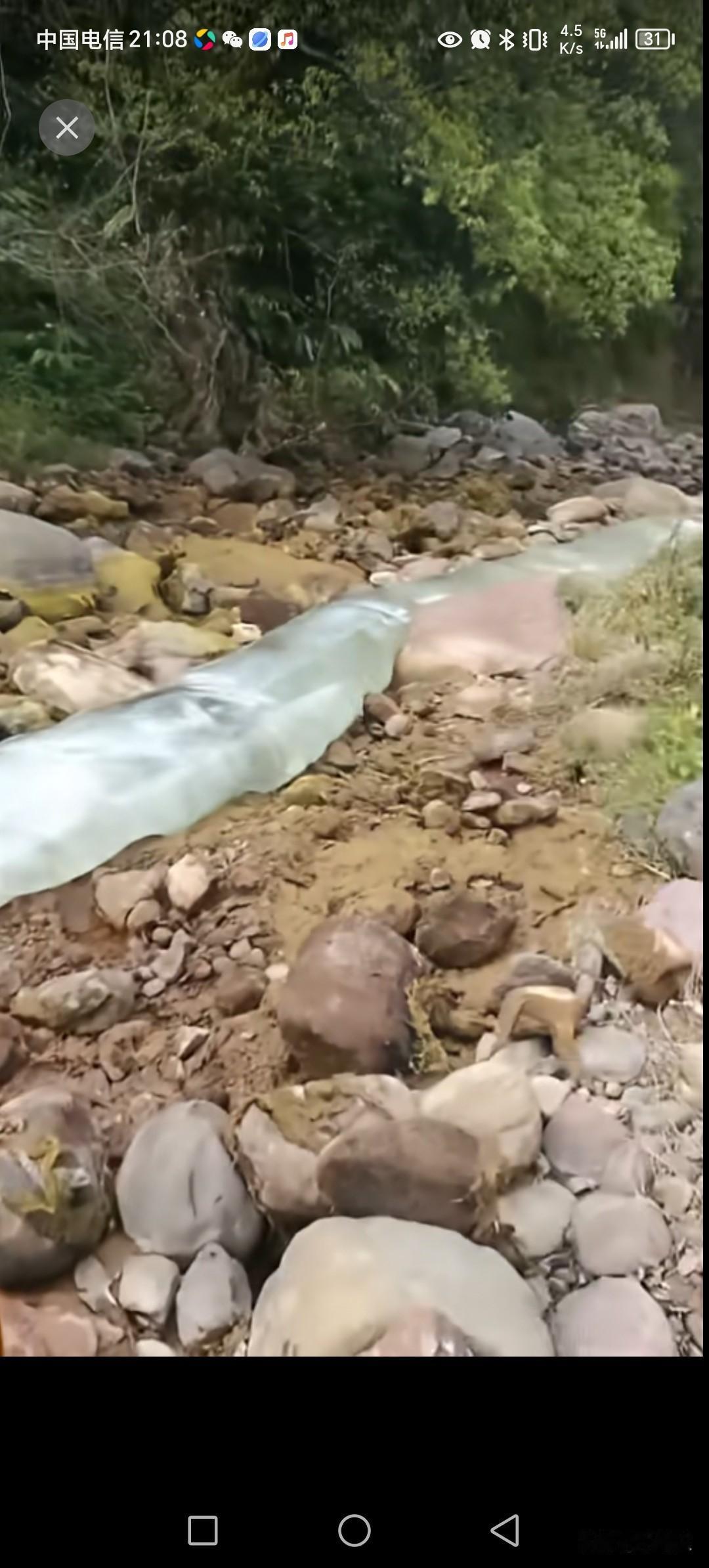 为了抓野味溪鱼，居然把整条战溪水都套起来。这操作会对生态影响很大。整条河溪的