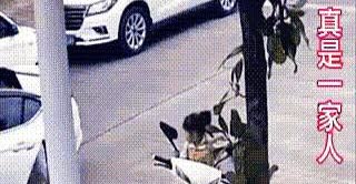 无语！瞧这一家子……不是一家人，不进一家门！不过话说回来，菠萝蜜