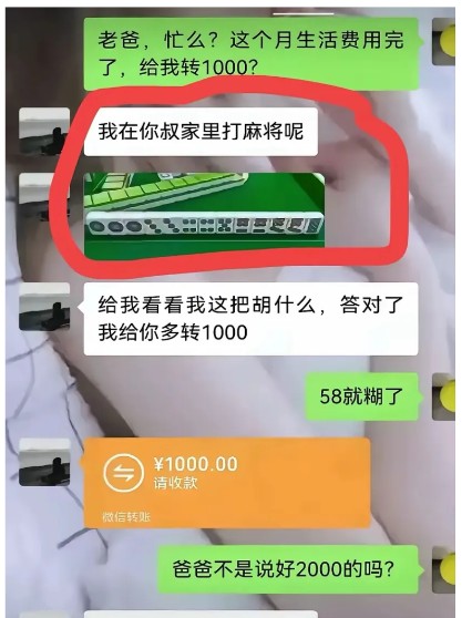 老爸这是什么意思？觉得我傻吗？