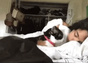 主人偷偷录下猫咪在她睡觉时都干了些什么！