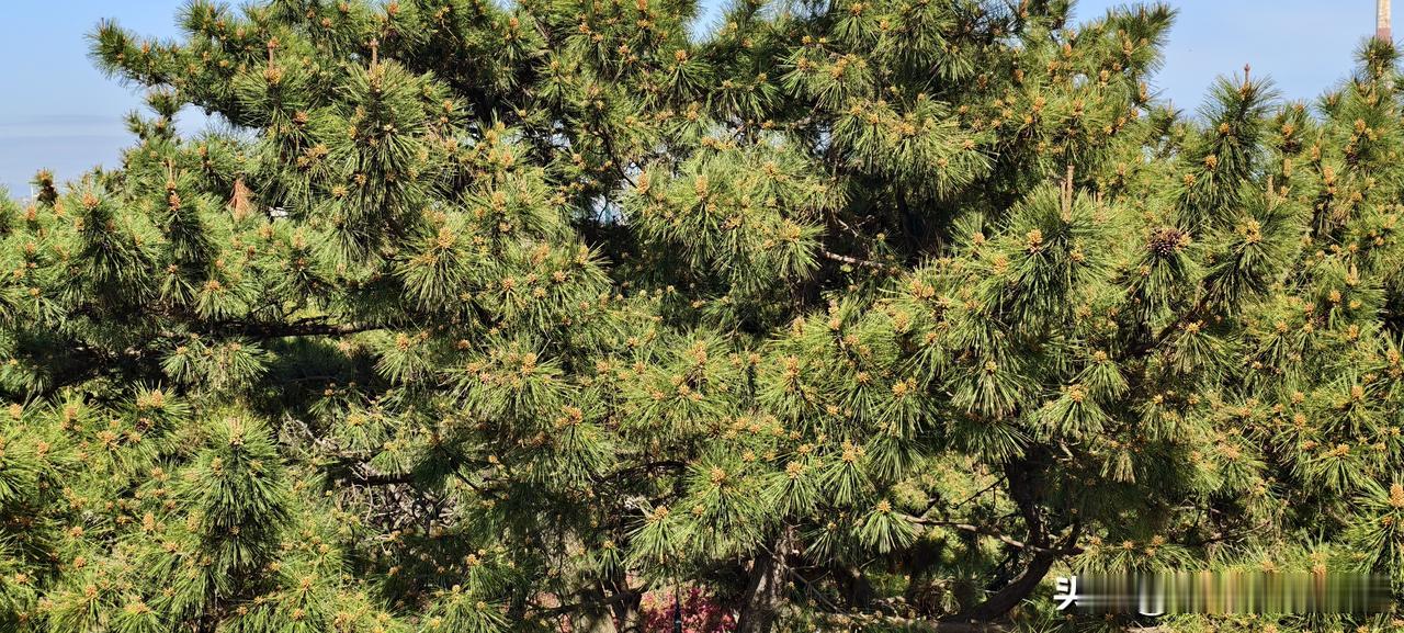 员工最怕的不是领导无能，是没本事还瞎指挥今天跟部门几个同事撸串，我问了一嘴：