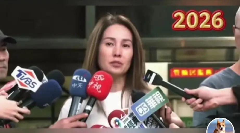 台立委高金素梅重金交保重获自由后，面对媒体记者表态:我希望能够台湾和平，人民能够