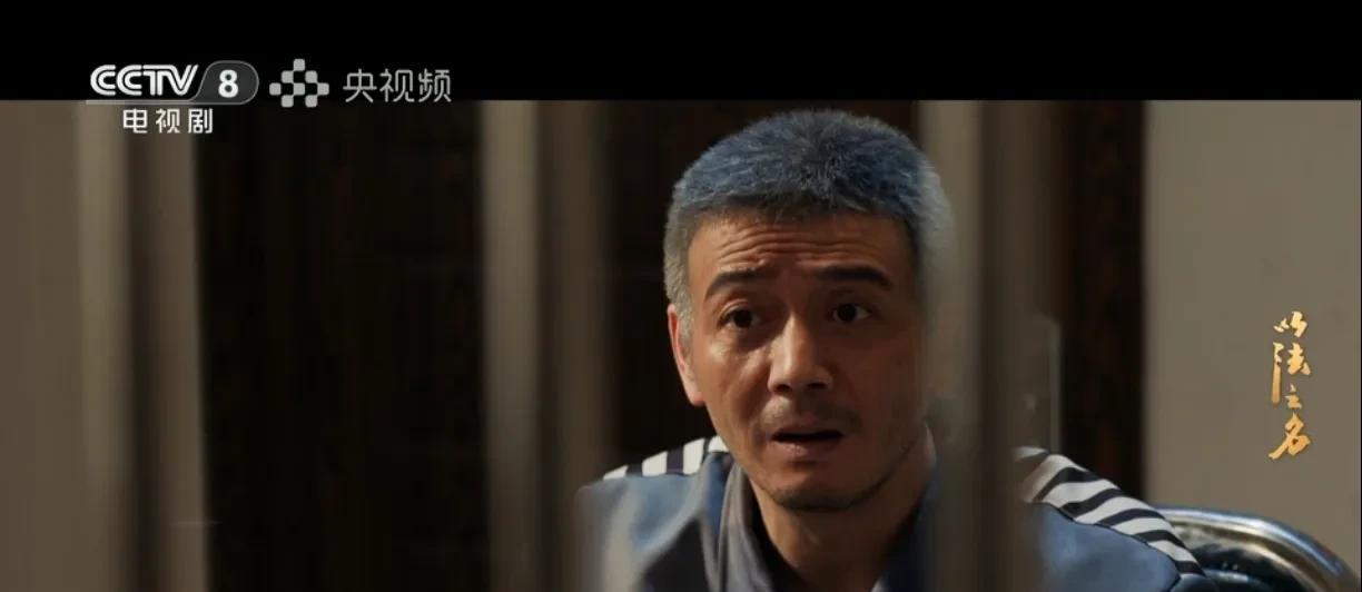 我就纳闷了！省里专案组来的人，智商就都那么低？今晚《以法之名》的剧情看了真是真心