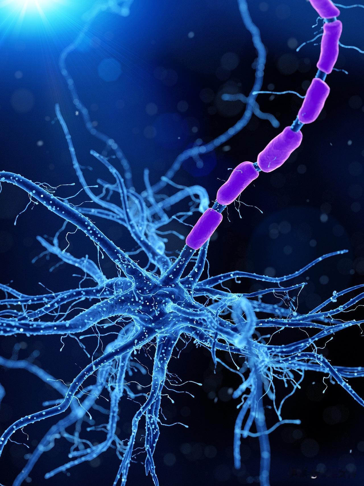 现在癌症有一种新疗法，打一针就好了，但贵得冒血，听说一针100多万。我有