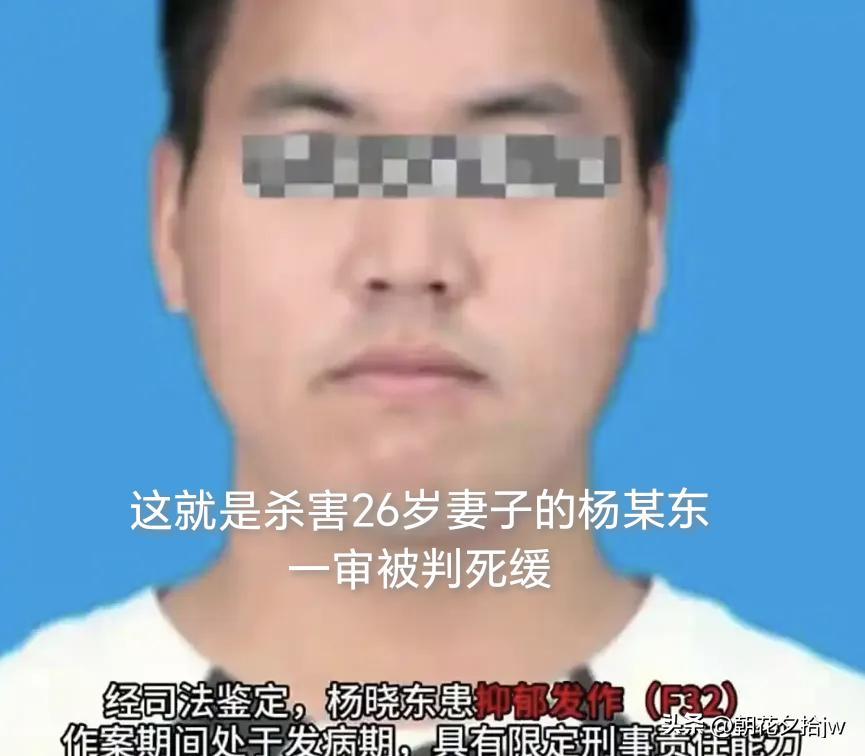 太离谱了。4分钟捅了86刀，静脉心脏全给扎穿。这哪是失手，分明是奔着弄死