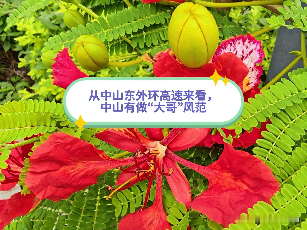 从中山东部外环高速公路的建设来看，中山似乎更有“大哥”风范？中山东部外环高速公路