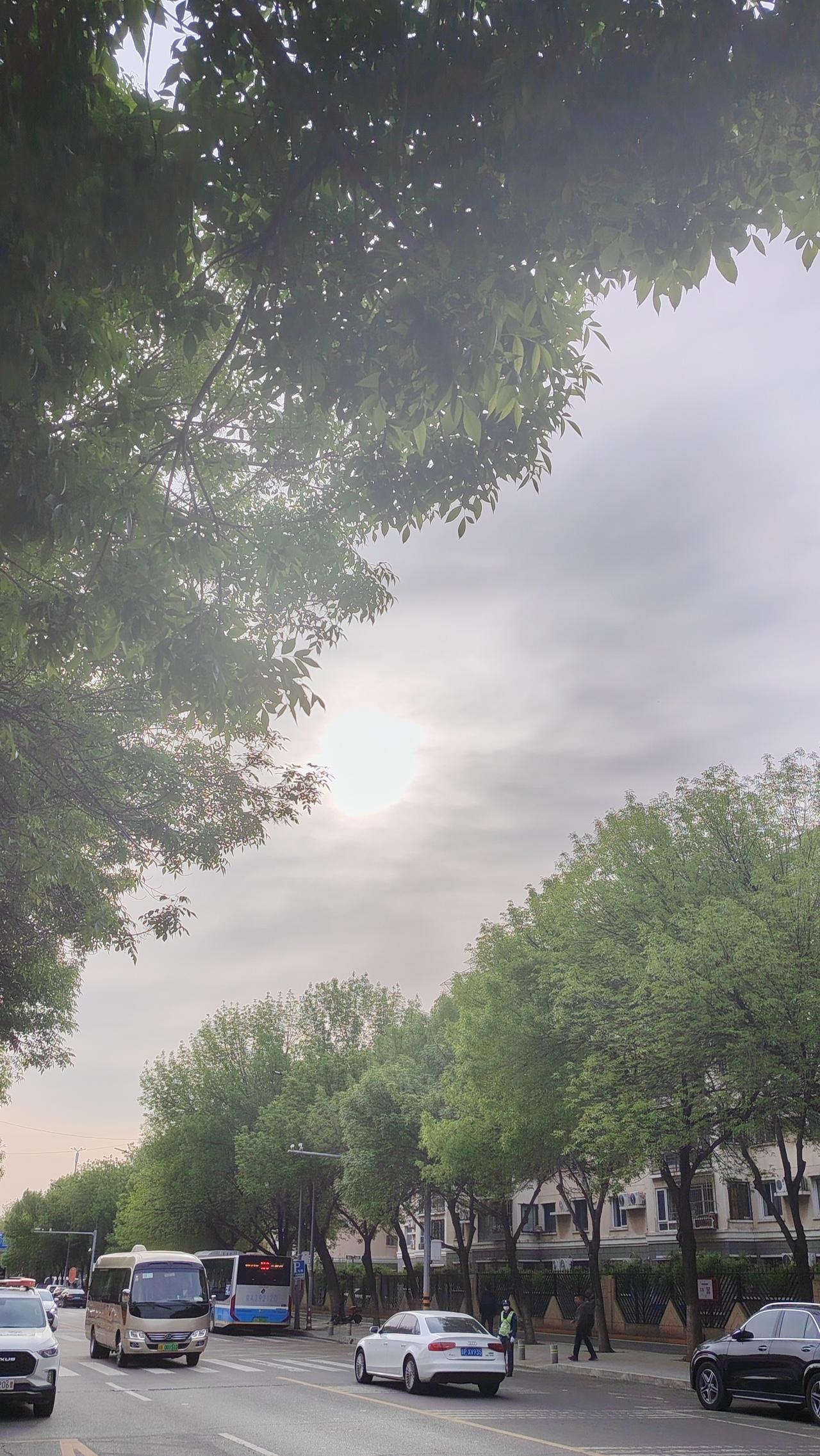 警句分享：凡事不必太较真，糊涂一点，快乐多一点。小故事：一位老人在菜市场买菜