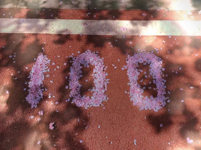 一年换12份工作，入职4天离职，00后成了职场闻风丧胆的“万辞王在如今的职场生态