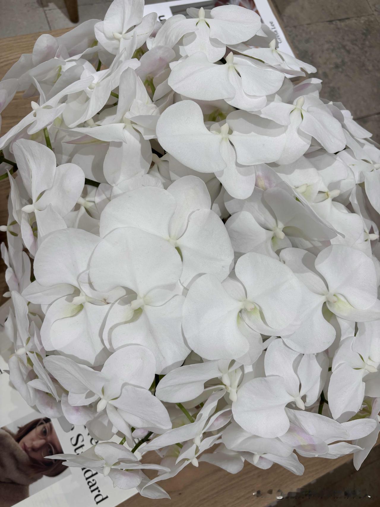 最近跑步，突然发现了一个奇怪的现象。近段时间我跑步时，无意中发现，所有跑步的人