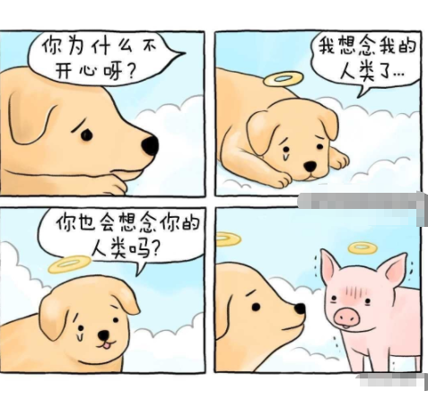 有你这么聊天的吗