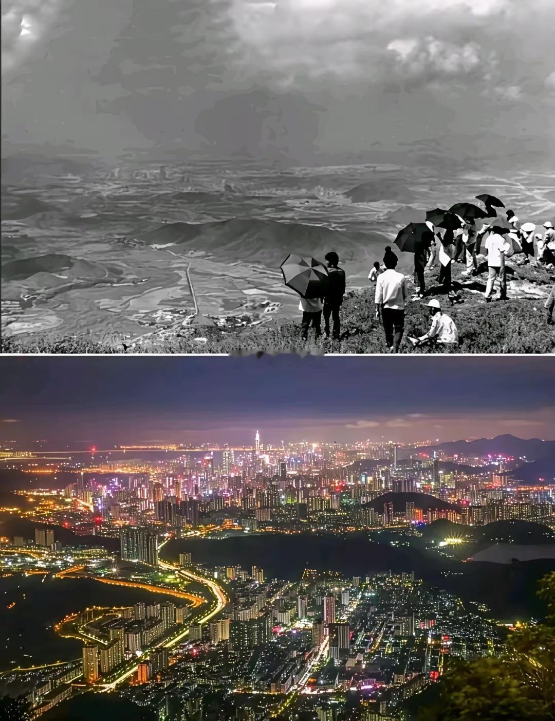如果下面5只股票要拿十年，只能选一只，要选哪一只？1、五粮液2、长安汽车3、爱尔