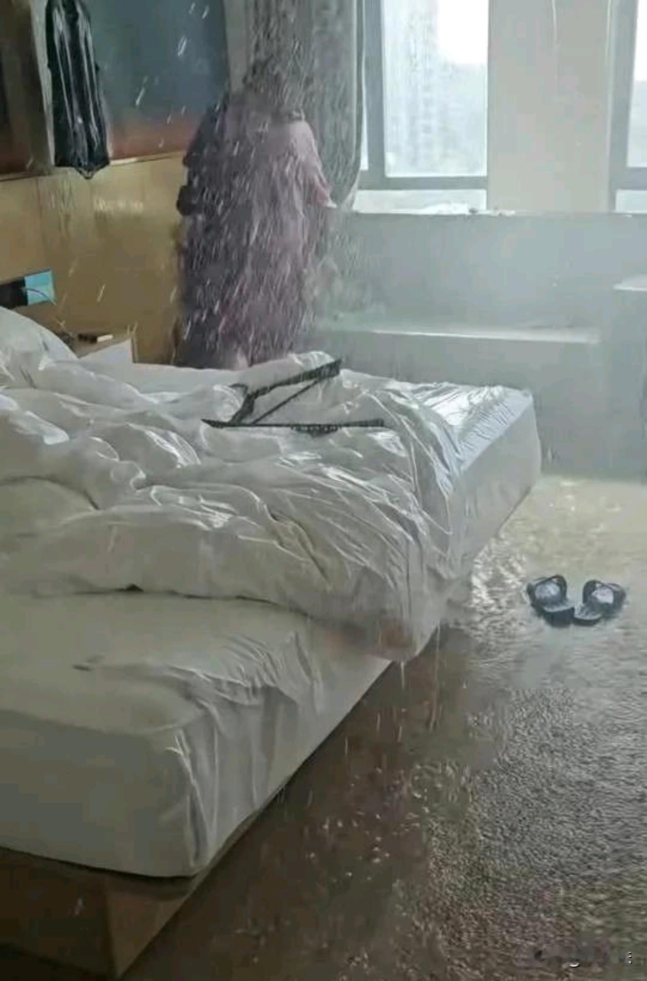 这是闯过最大的祸了吧