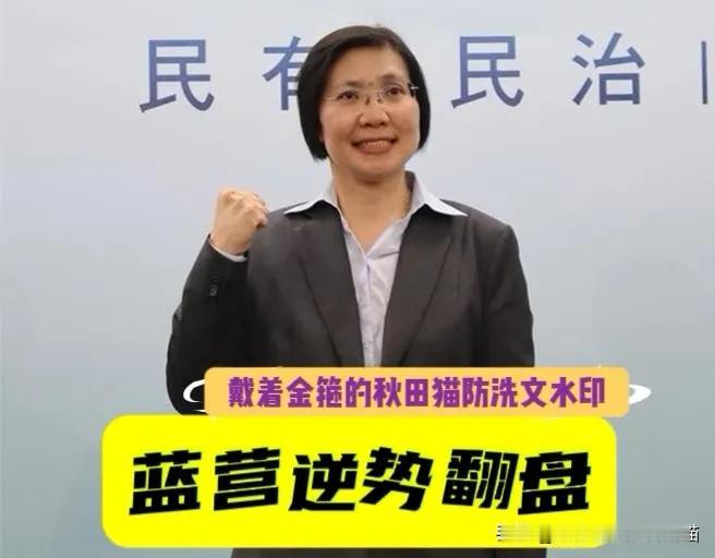 蓝营逆势翻盘？新竹县长最新民调成功实现大翻转，吴子嘉直呼：徐欣莹这数据太可怕了