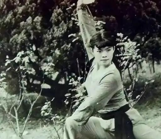 1968年，80岁的武僧宋九庵碰到了18岁的流浪姑娘宋莲萍，当时宋莲萍已经饿晕过