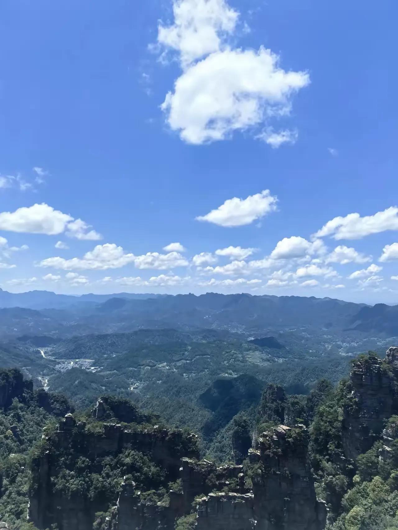 你有没有发现，现在这个大环境里，过得最舒服、最滋润的人，既不是公务员，也不是大老