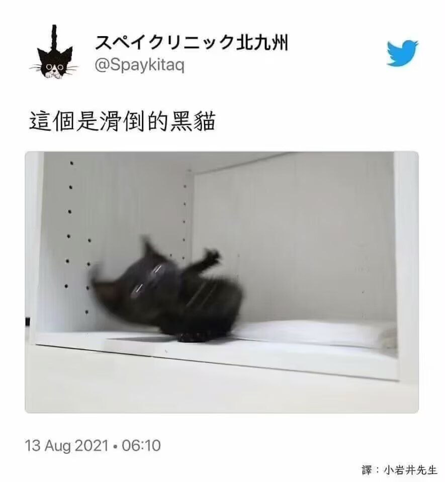 咋从小就这么好笑​​​