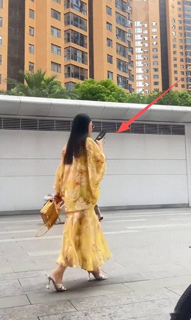 李湘和王岳伦是假离婚吧？别的夫妻离婚，顶多逢年过节、孩子生日，会聚在一起陪娃。