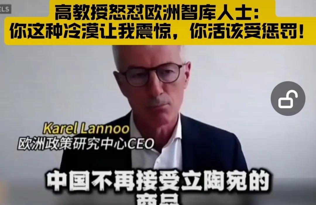 最近看到高志凯和欧洲一家智库CEO对话的视频，议题是讨论立陶宛被中国实施制裁的事