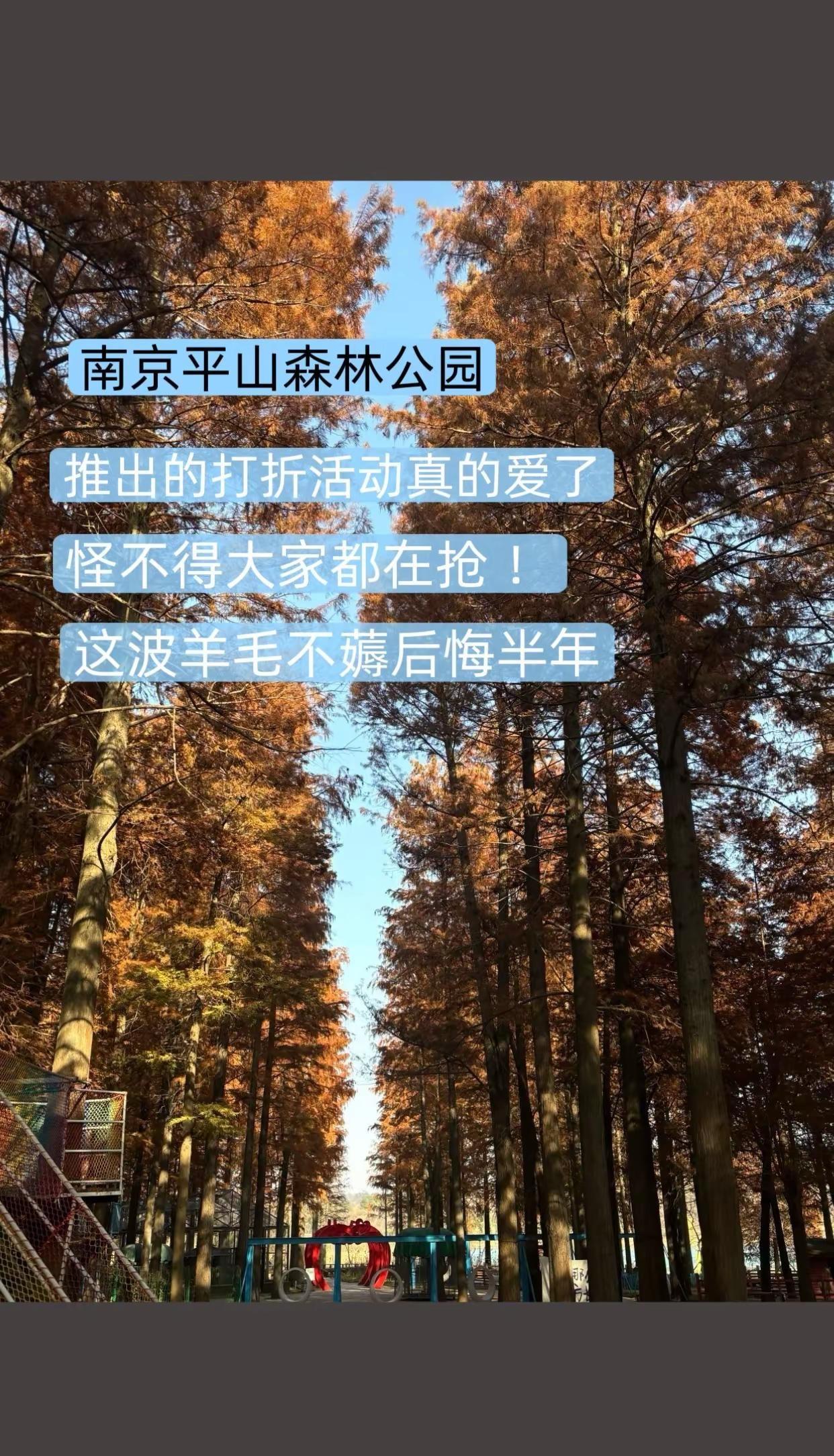 南京平山森林公园美景尽收眼底让人陶醉大好河山一起打卡风景优美空气清新周末