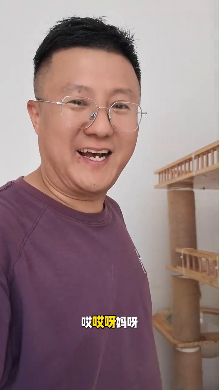猫爬架。太搞笑了，你们看我家这猫的姿势，趴在猫爬架上，它还把手从地伸出来，把爪