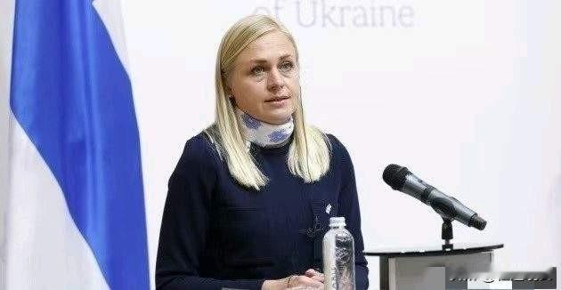 芬兰等不及了，1月6日，芬兰还是打来了电话，同外交部长王毅就双方的多领域合作进