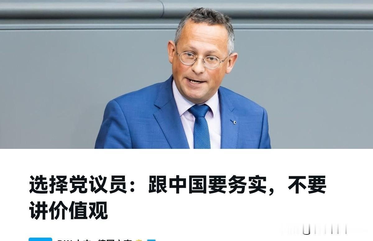 德国国内还是有明白人！德国选择党（AfD）议员彼得·费尔瑟表示，不要以说教的方式