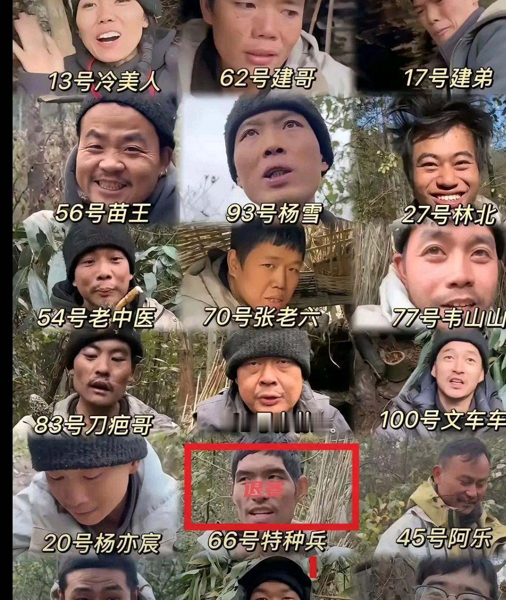 荒野求生赛场上，选手们为了生存竟吃起了野猪，这究竟是真实的挑战还是节目组的安排？