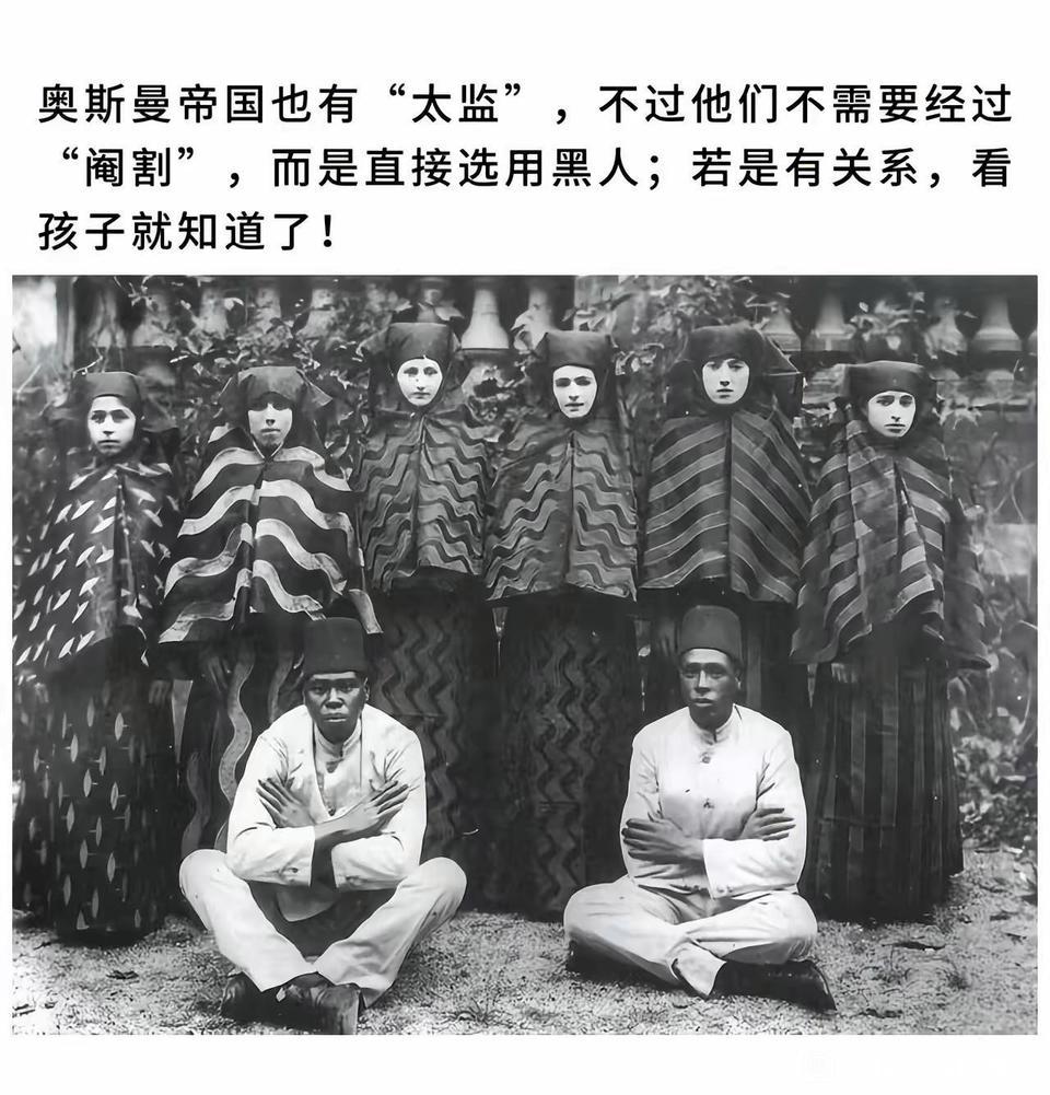 奥斯曼帝国也有"太监"