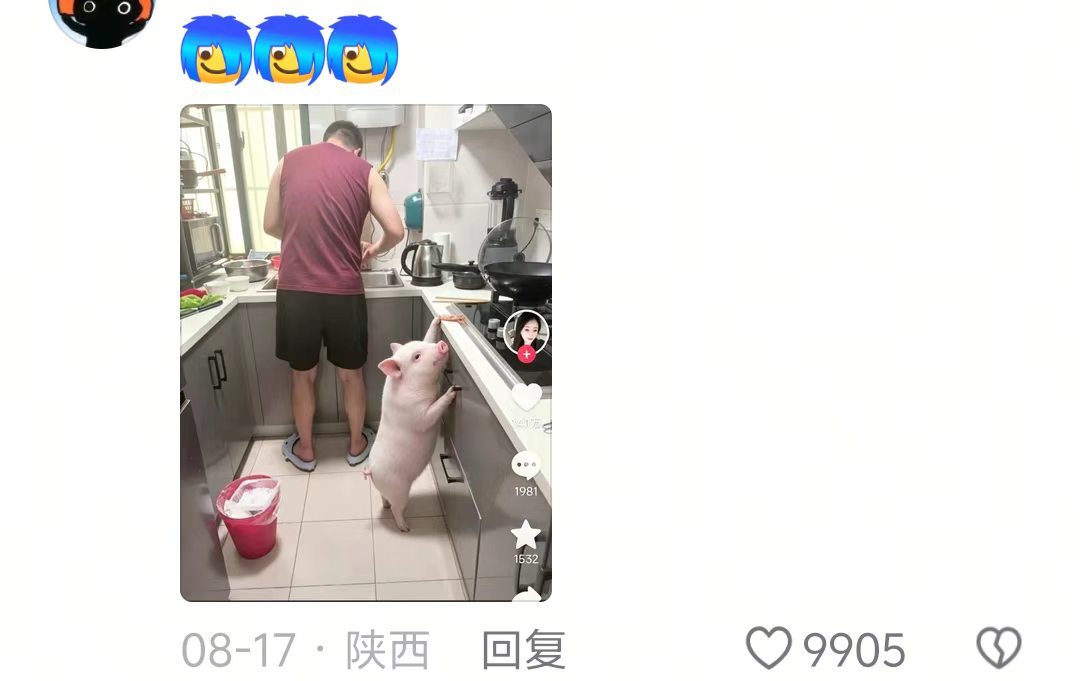 小咪瘦的骨头都看不见了🤣