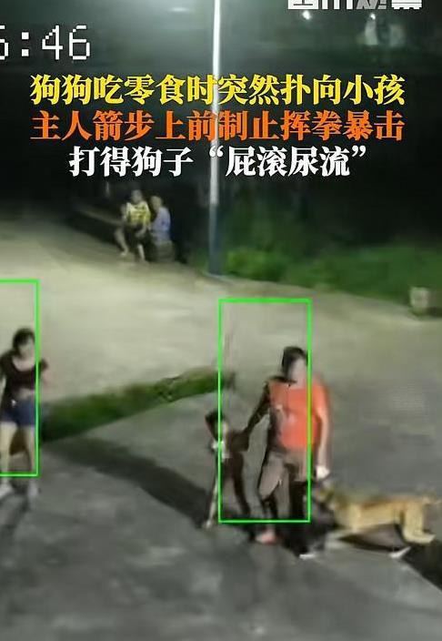 “打的好！”湖南湘潭，男子在自家小区花坛边喂狗，谁知道它突然发疯扑向旁边的小孩，