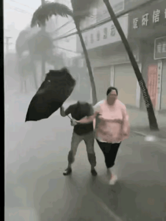 今天这大风暴雨可太吓人了，出门买个菜跟渡劫一样。我老公那小身板，撑个伞直接被风吹